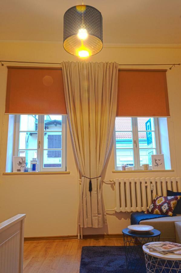 Apartament Ducha No'7 Stary Toruń Kültér fotó