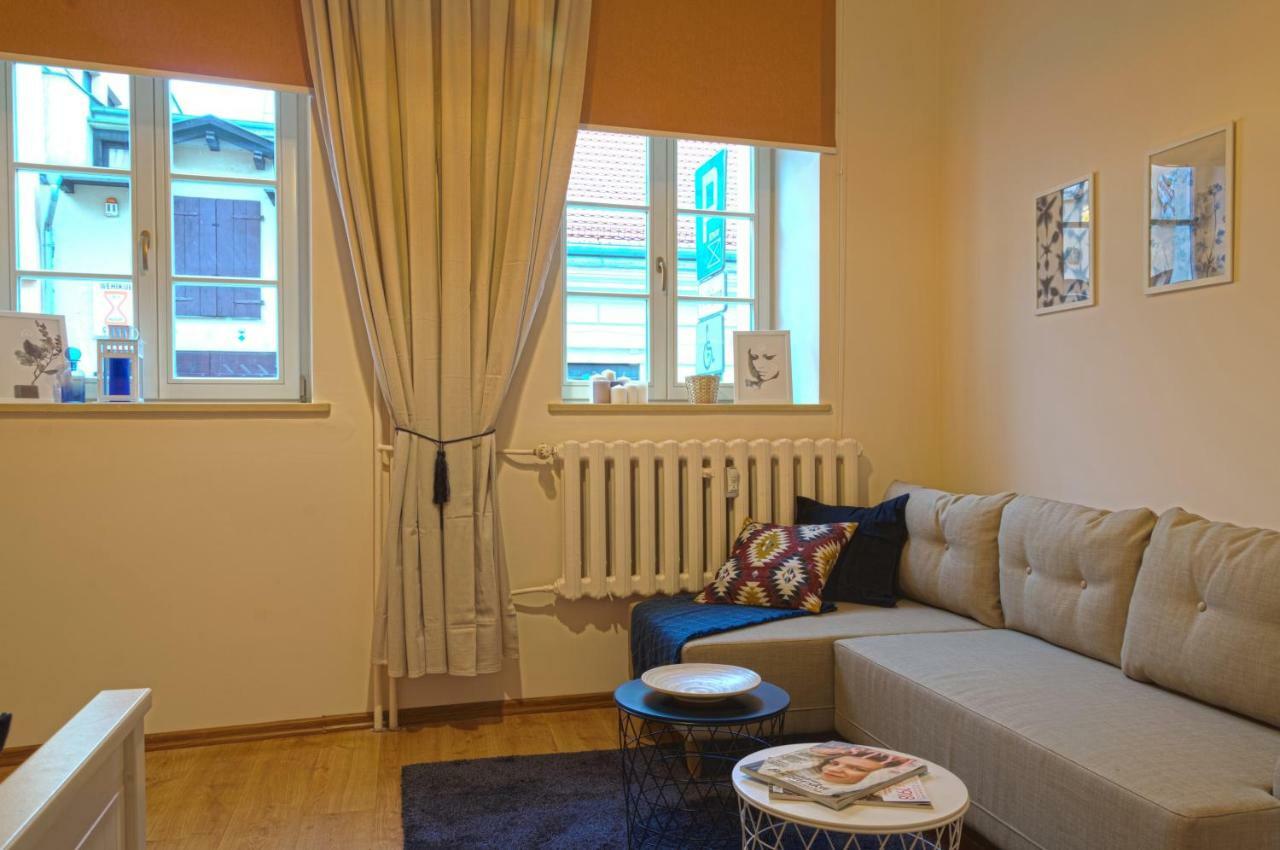 Apartament Ducha No'7 Stary Toruń Kültér fotó