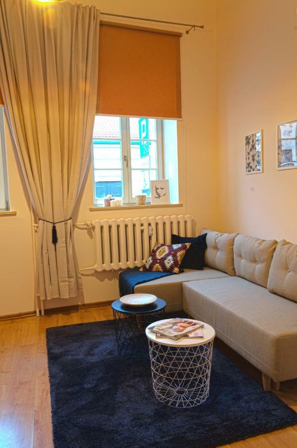Apartament Ducha No'7 Stary Toruń Kültér fotó